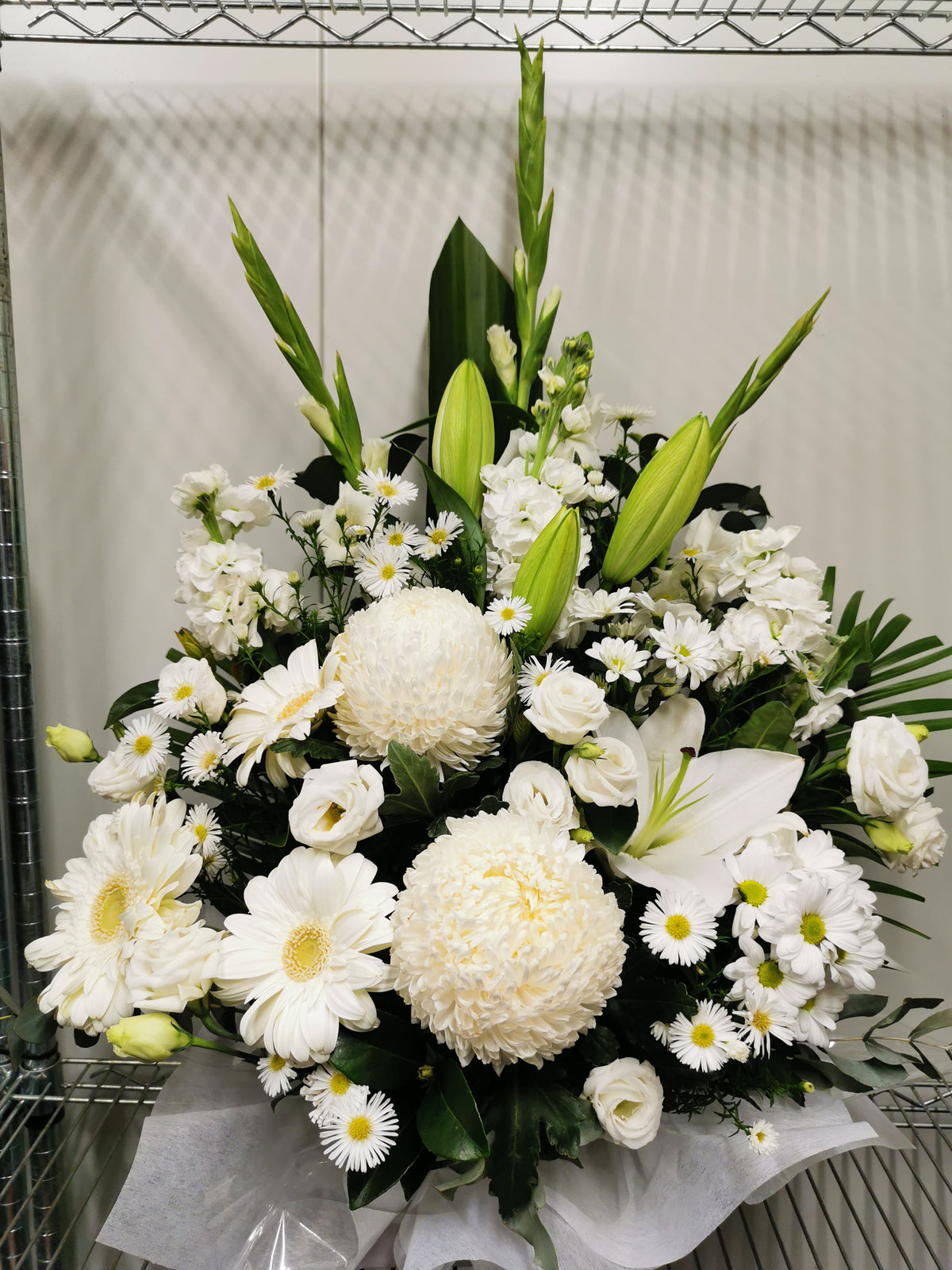 Fancy White