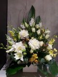 Naturey Pot
