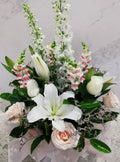 Snap Lily Box
