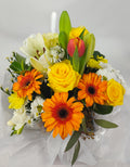 Small Yellow Orange