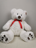 Medium Teddy (55cm)