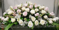 Rose Casket