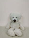 Small White Teddy