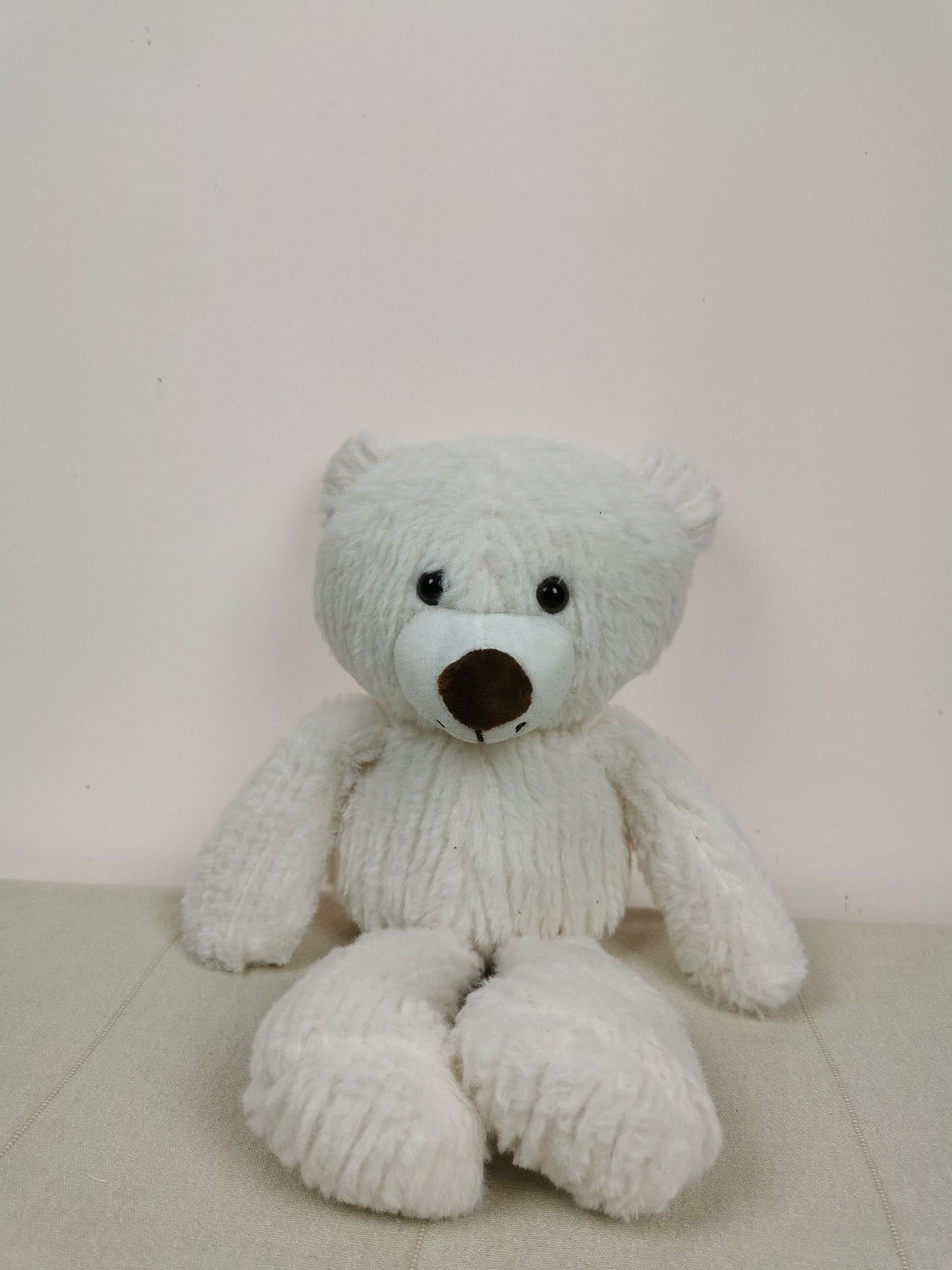 Small White Teddy