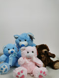 Teddy